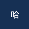 哈伊阿米尔哈桑